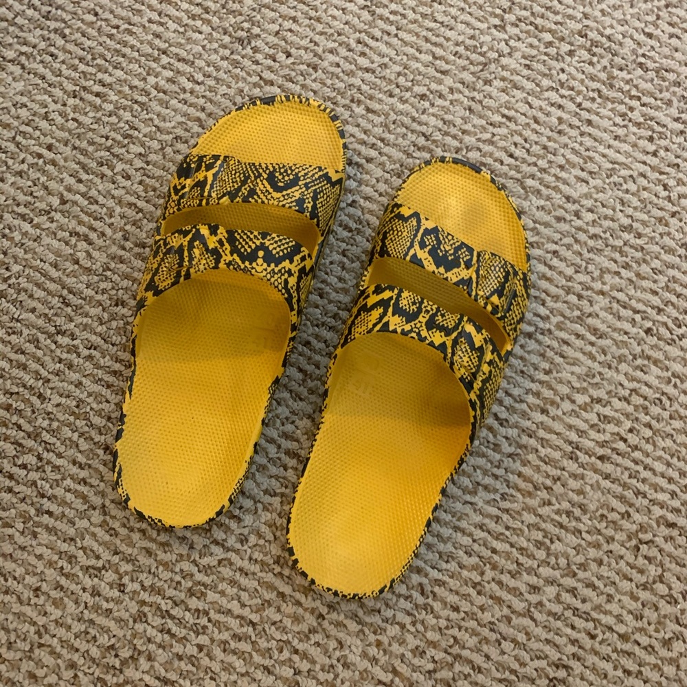 Freedom Moses python slides